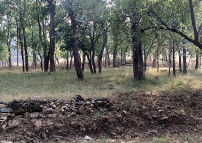 jungle safari pench