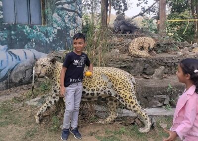 jungle safari pench